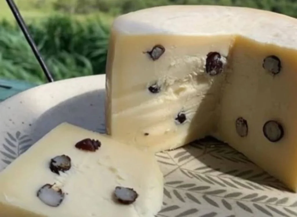 O queijo infundido com formigas brasileiras é um sucesso maciço