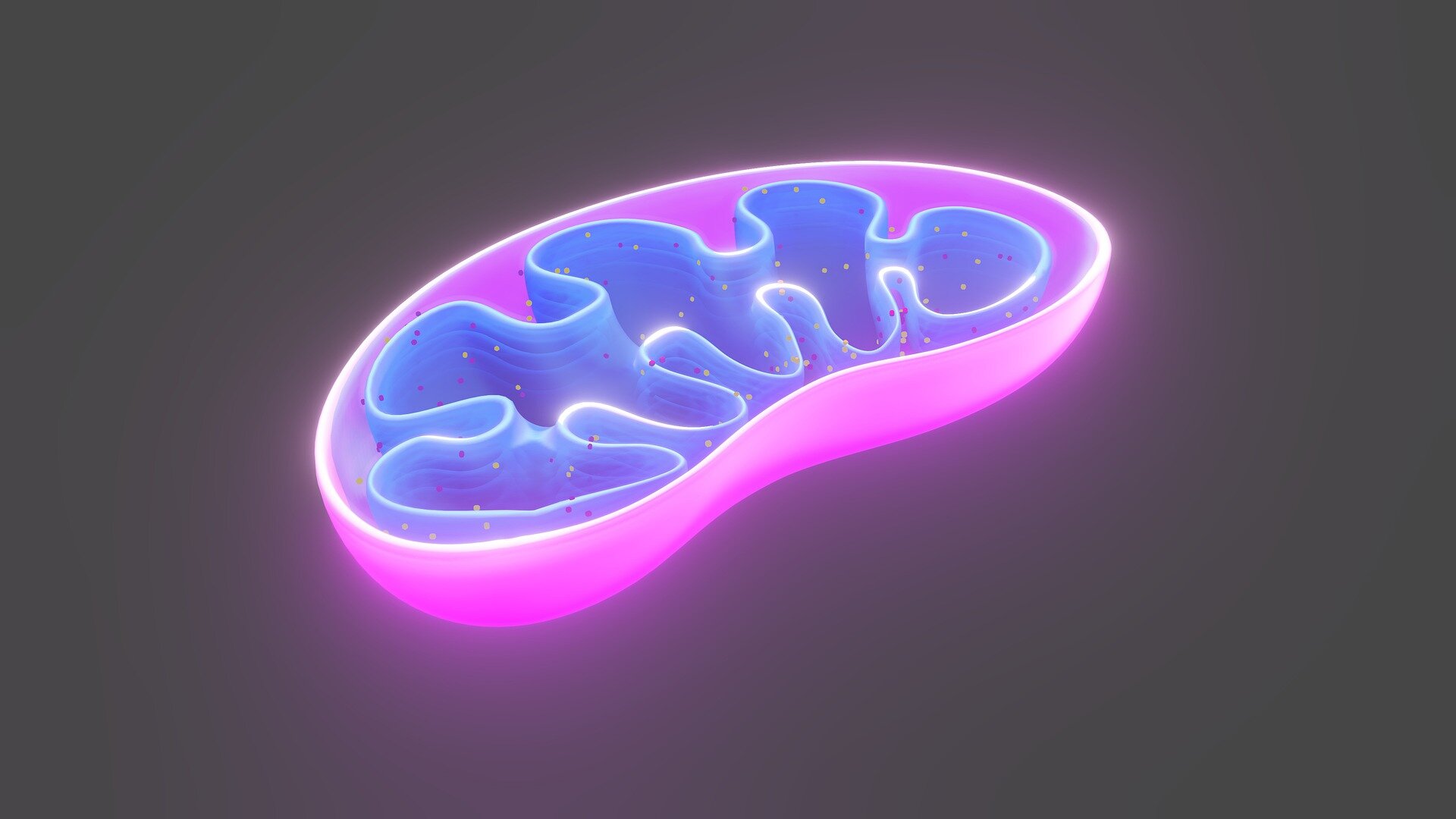 A chave de chave recém -descoberta para o balanço energético celular pode abrir caminho para as terapias de doenças de Parkinson