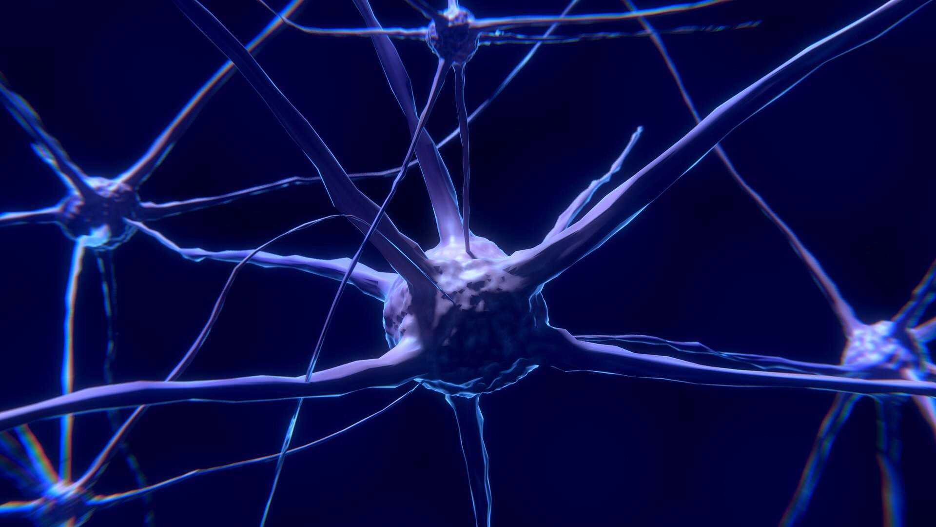 A descoberta do estado “preparado” nos receptores neuromusculares pode orientar o futuro projeto de medicamentos