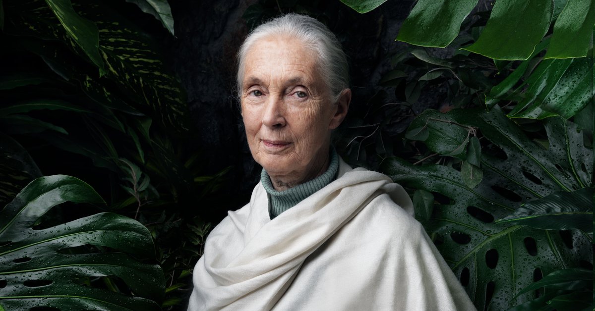 A mensagem de esperança de Jane Goodall vive