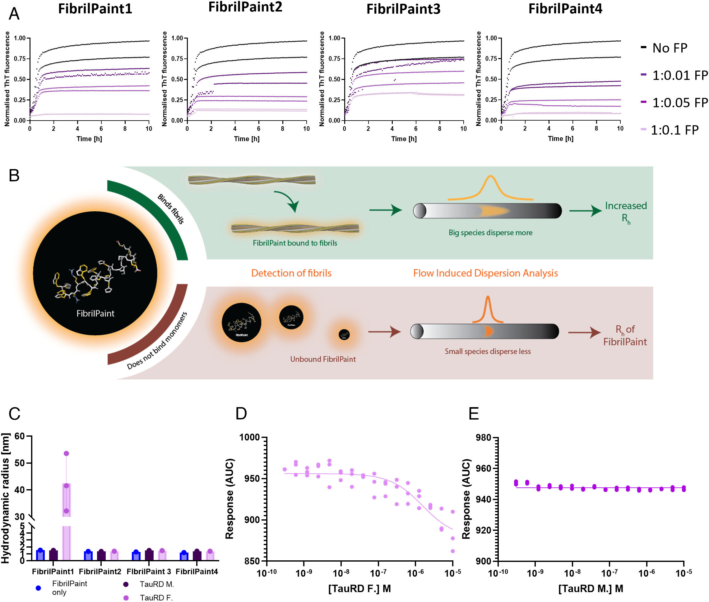A primeira medição direta de proteínas ligadas à demência abre portas para um melhor diagnóstico e tratamentos futuros