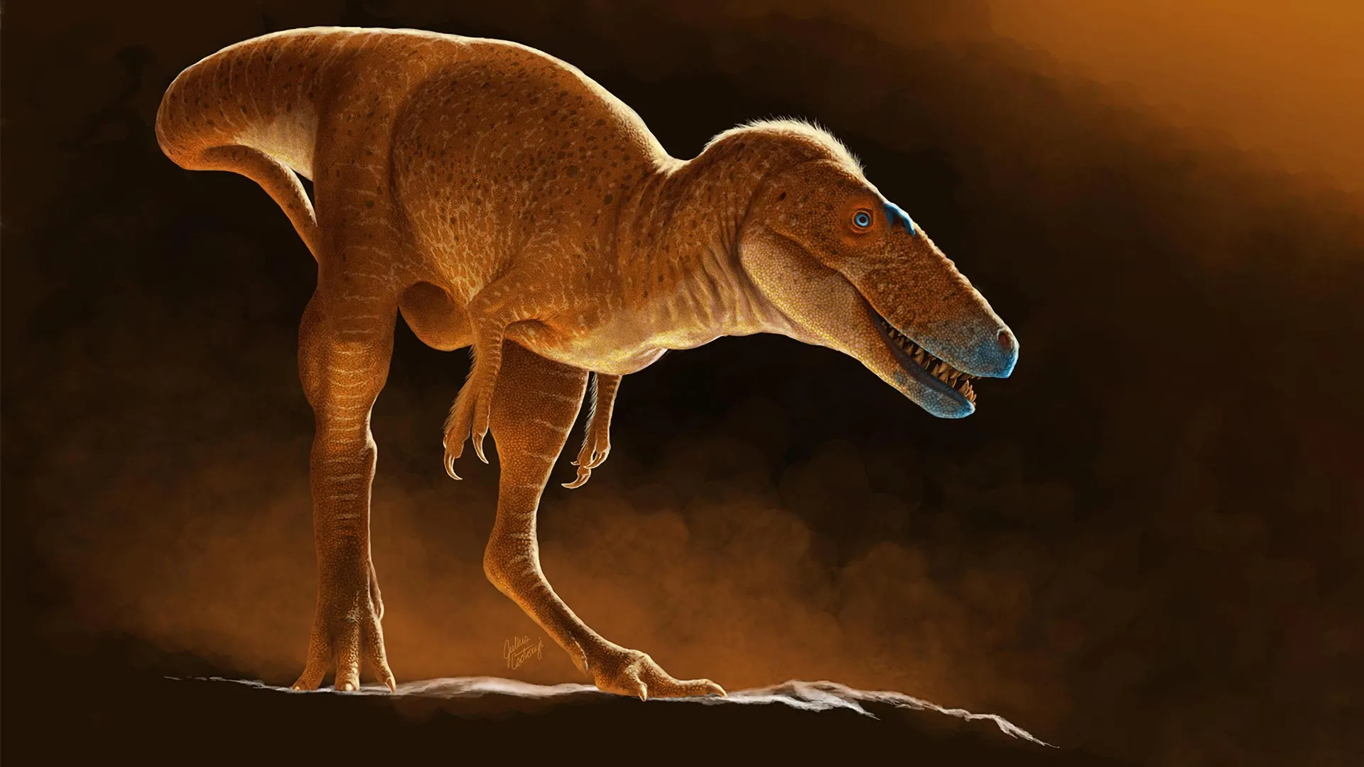 Antes do T. rex, existia o “príncipe dragão”