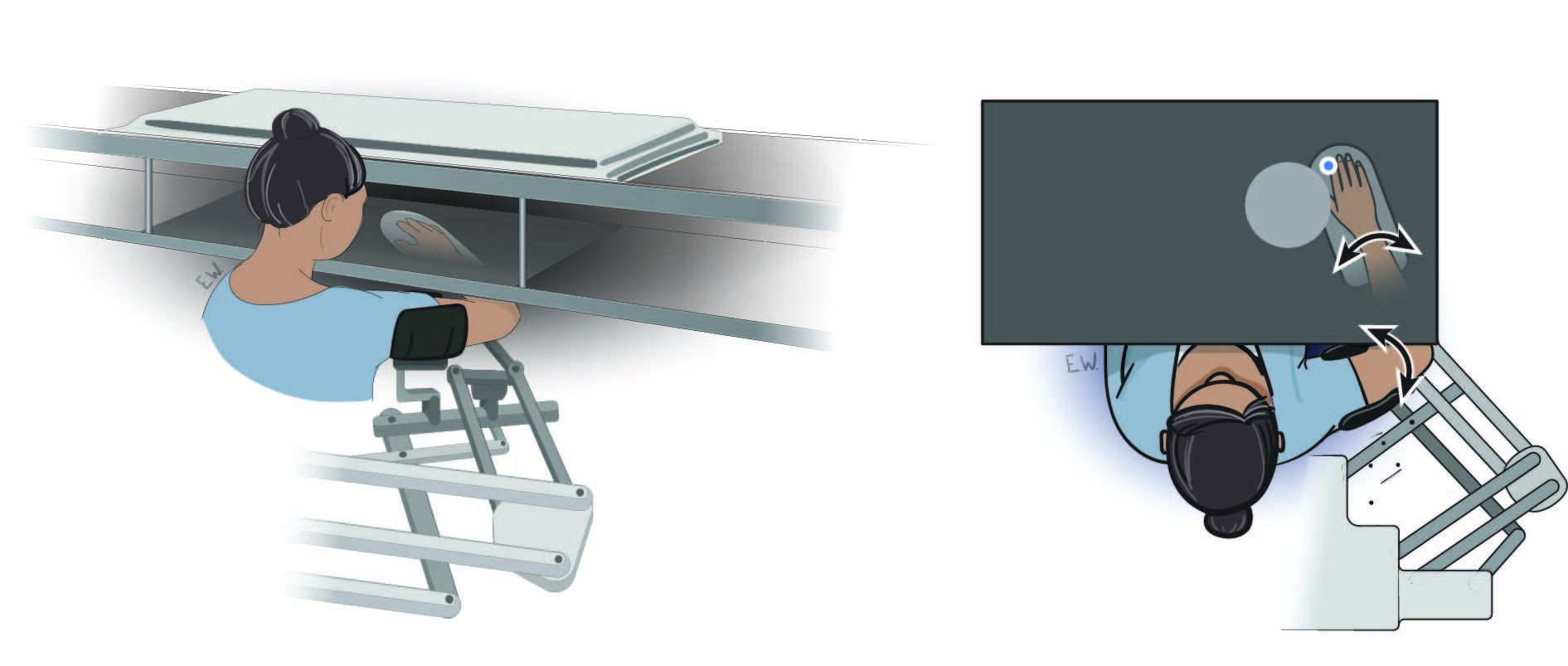 As expectativas sensoriais configuram as respostas neurais antes que os distúrbios ocorram, revela o estudo