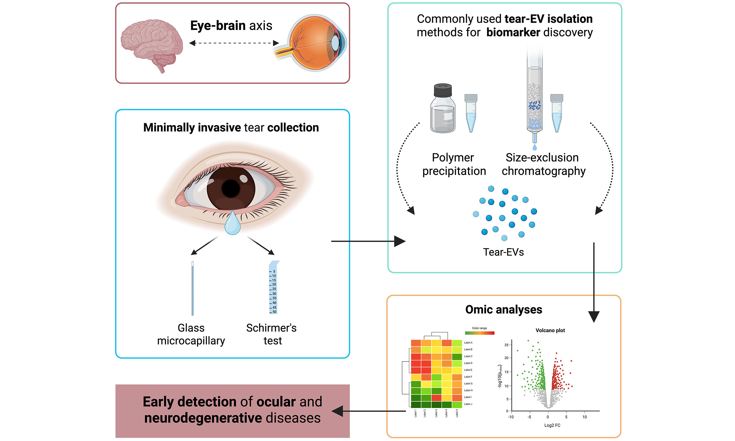 As lágrimas podem abrir um novo caminho para o diagnóstico e monitoramento de doenças oculares e neurodegenerativas