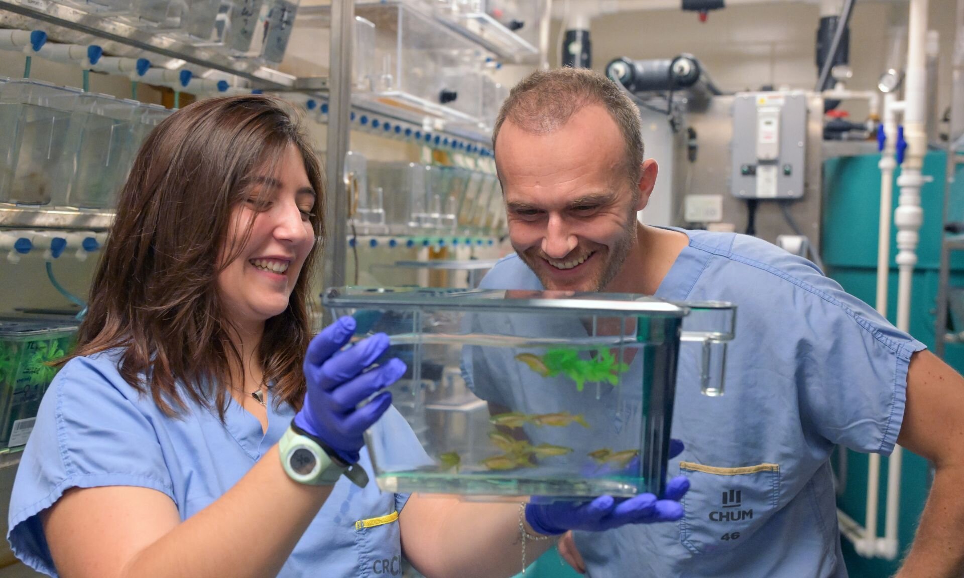 Ataxia cerebelar de início tardio: uma via genética descoberta