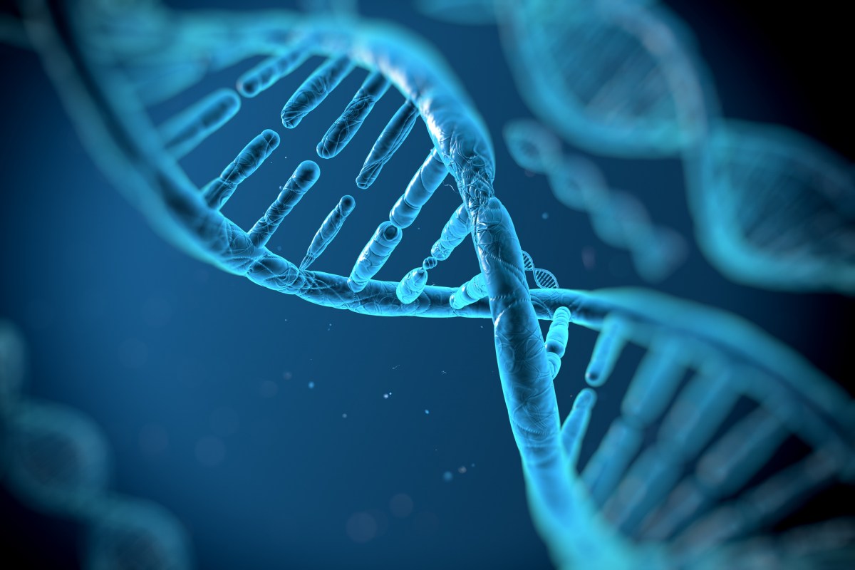 Biotech Nephrogen combina IA e terapia genética para reverter doenças renais – confira no TechCrunch Disrupt 2025