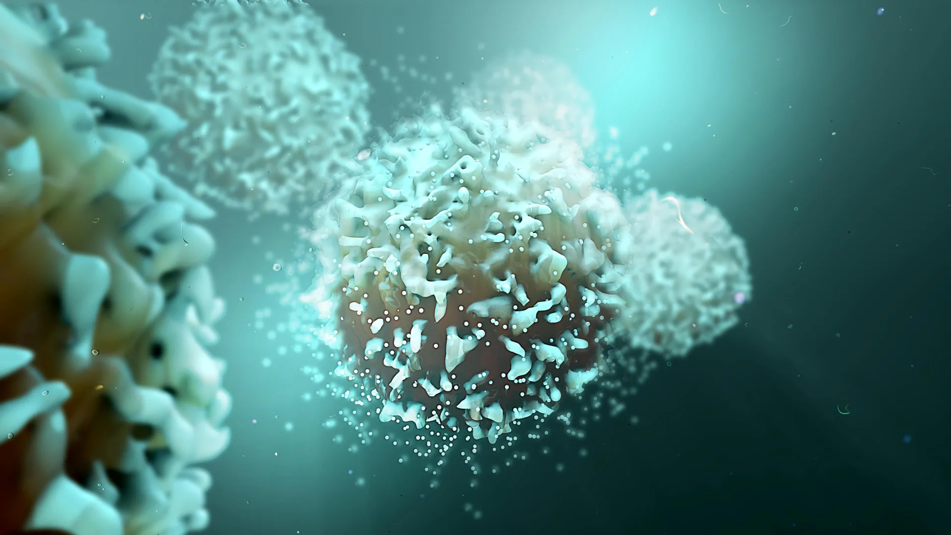 Bloquear uma proteína sobrecarrega o sistema imunológico contra o câncer