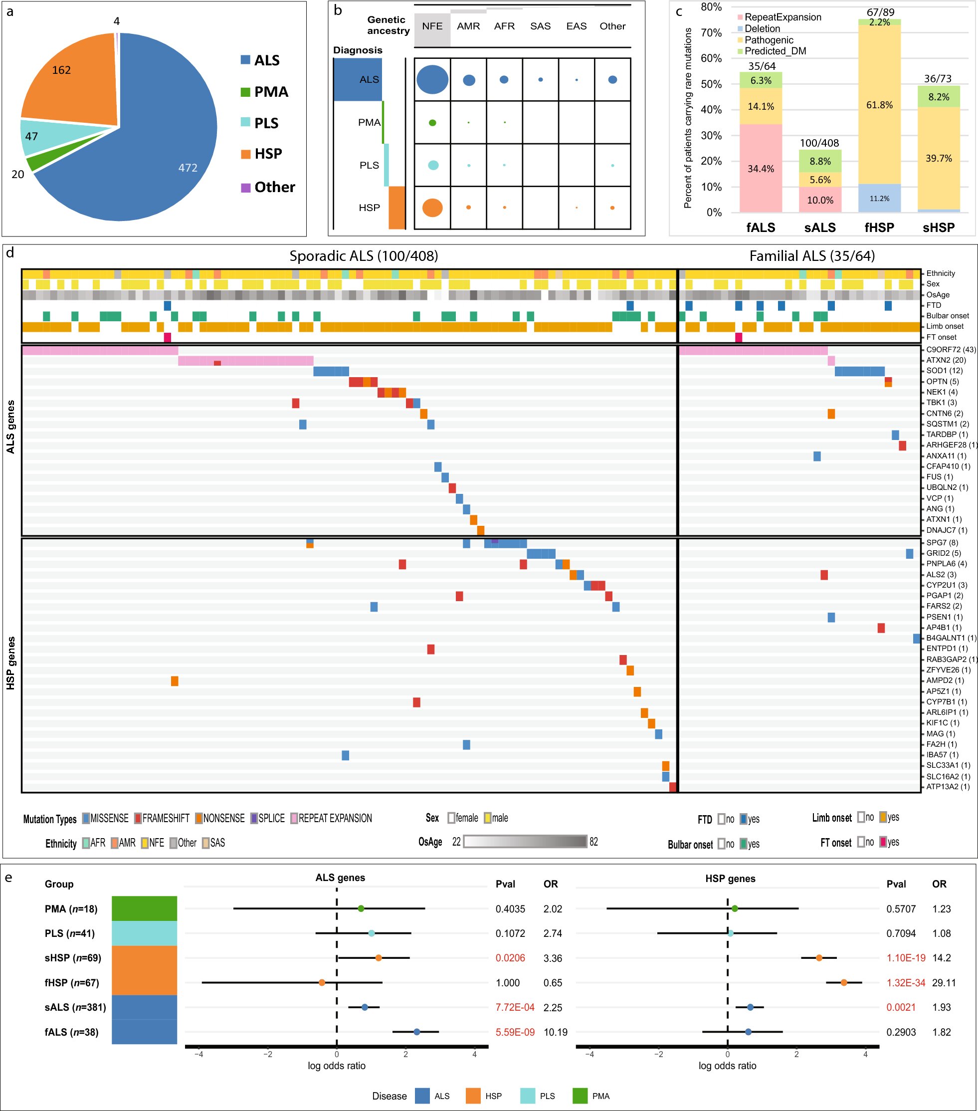 Causas genéticas comuns em doenças de neurônios motores identificadas