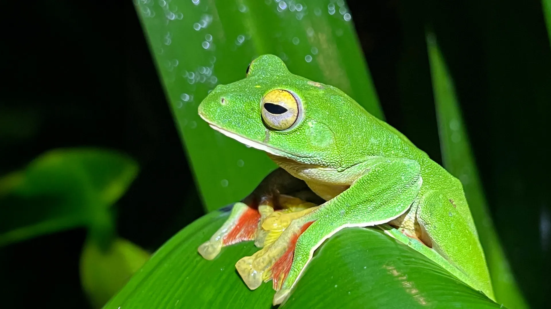 Cientistas acabam de descobrir uma reviravolta surpreendente na história da extinção da Terra