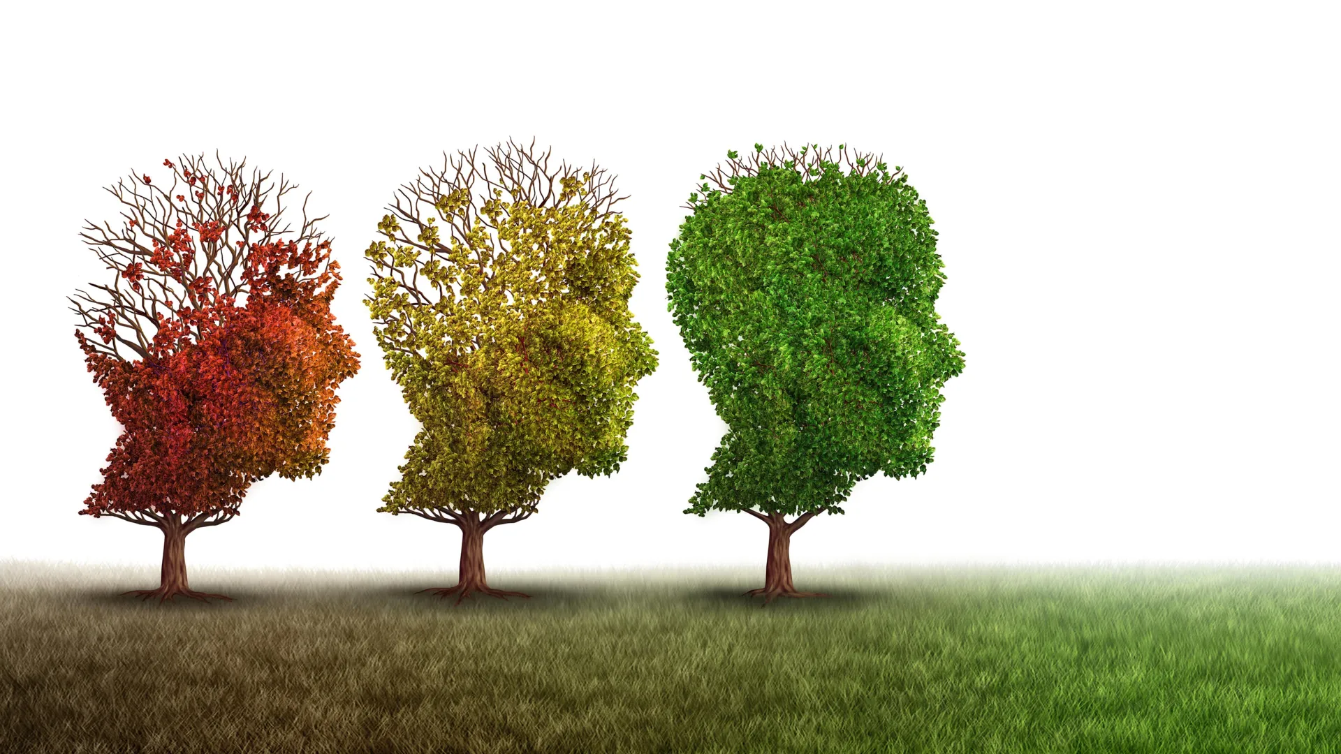 Cientistas reverteram o envelhecimento cerebral e a perda de memória em ratos