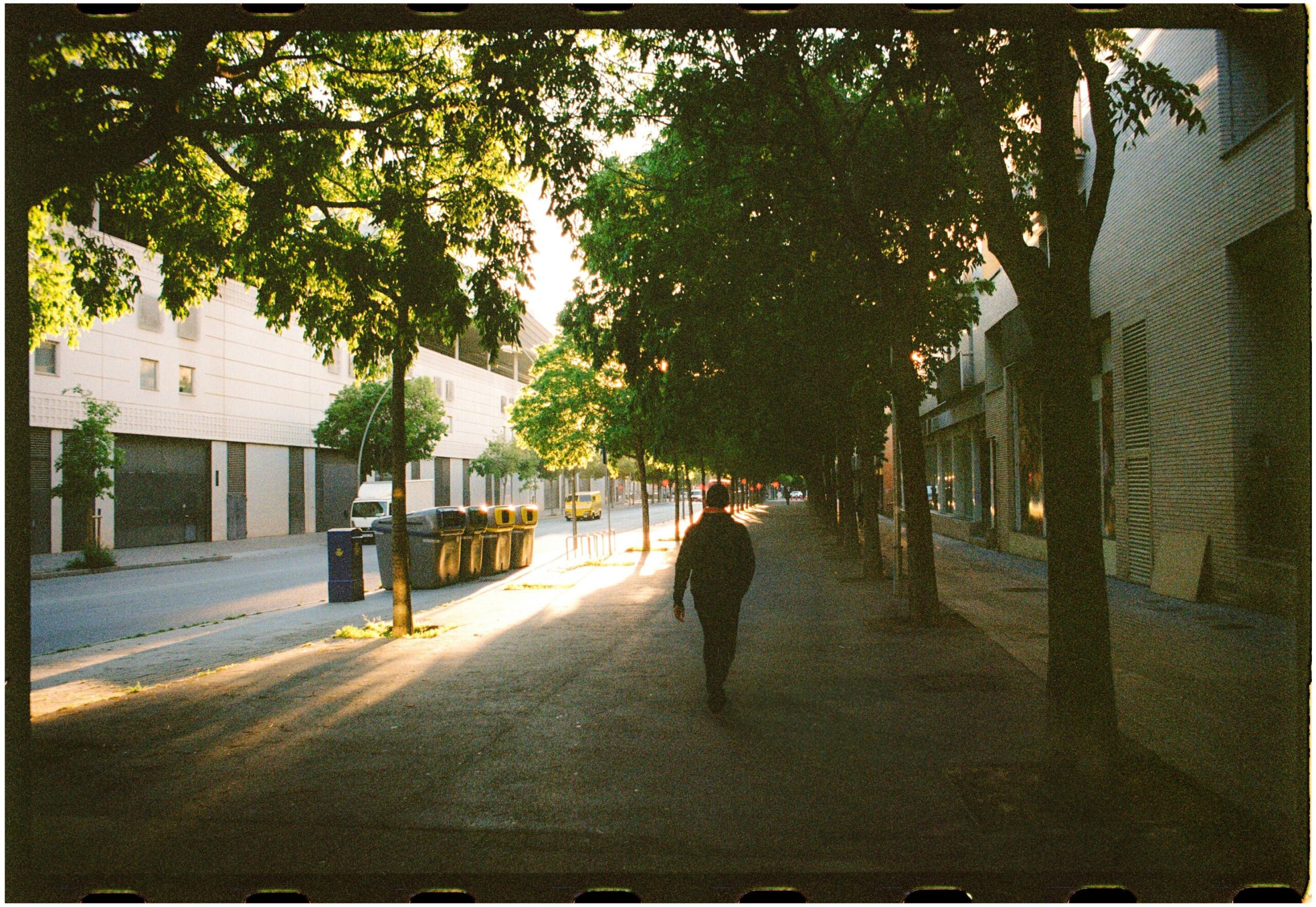 Cobertura de copa de árvores associada a menor risco de quedas de pedestres