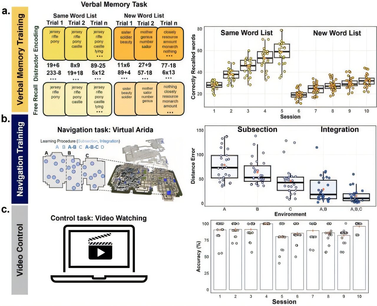 Como o treinamento cognitivo guiado pode melhorar o desempenho cerebral