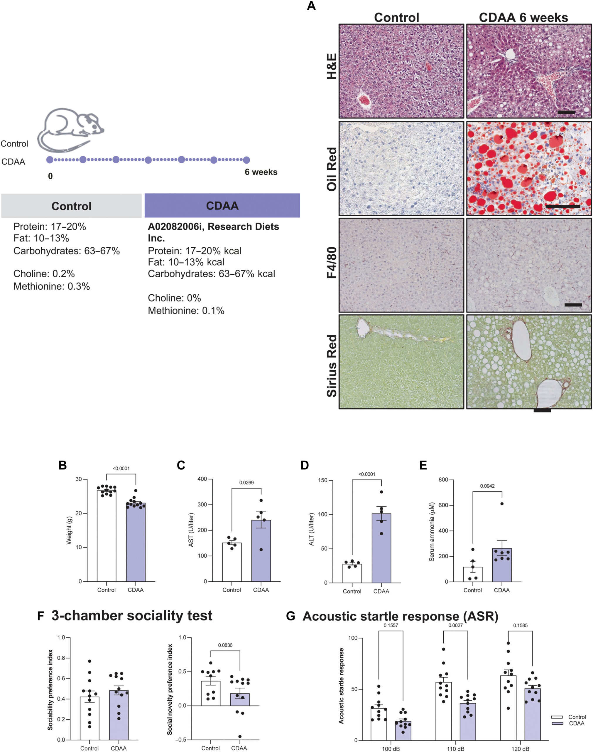 Conexão entre fígado e cérebro no contexto da doença hepática metabólica revelada