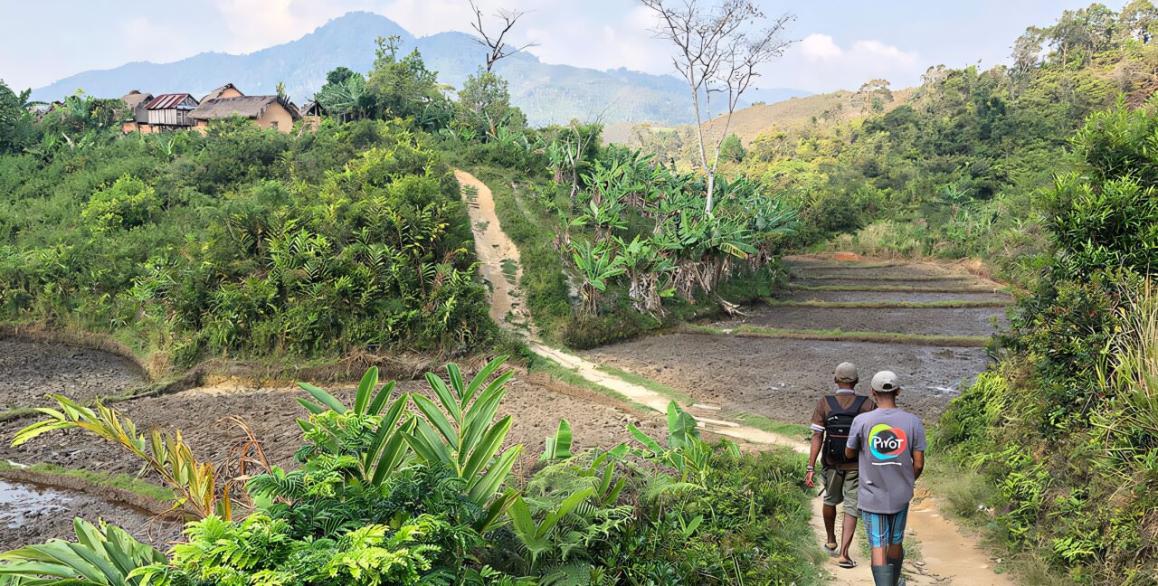 Construir sistemas de saúde mais fortes salva vidas, mostra experiência em Madagascar