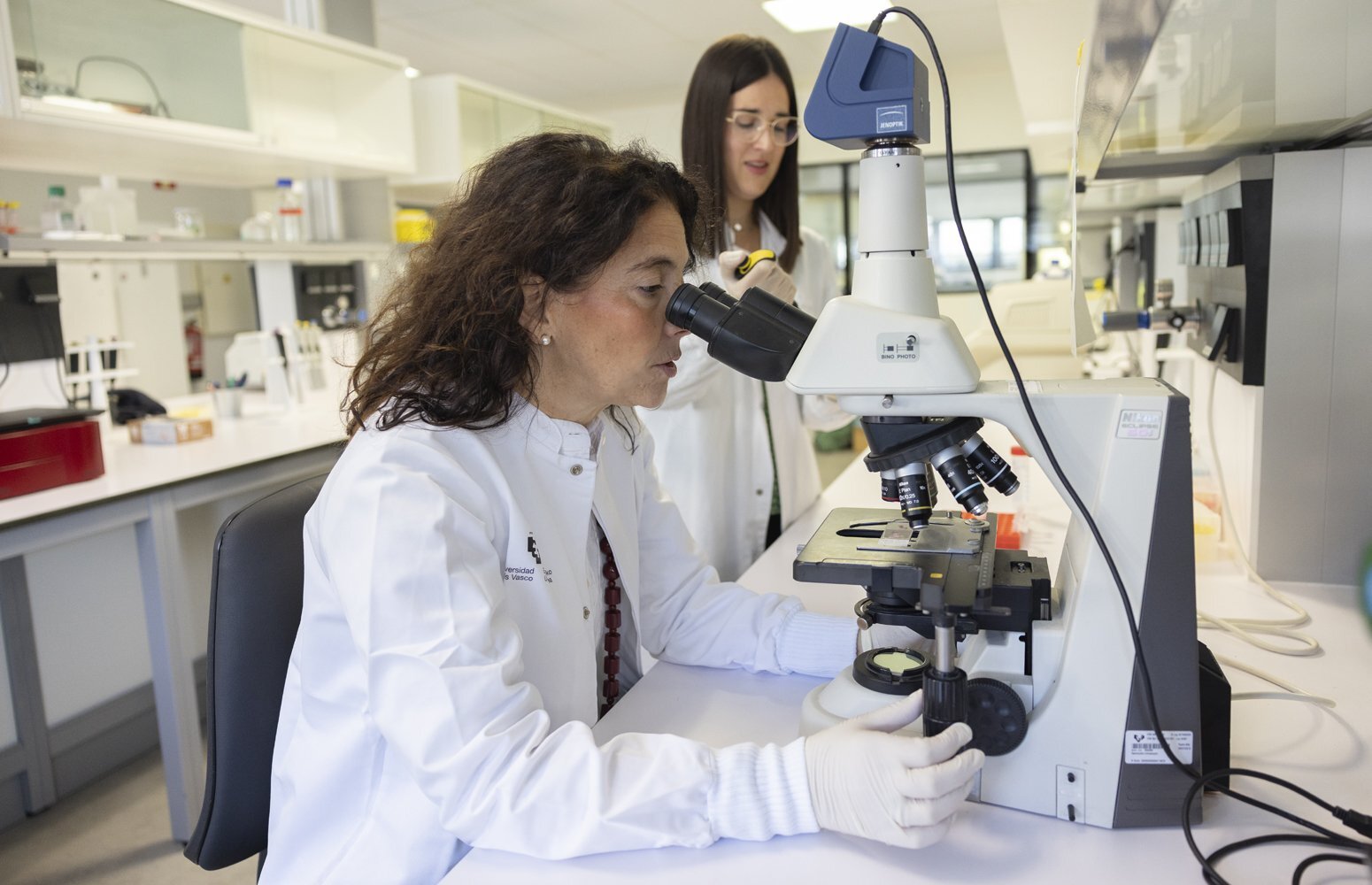 Descoberto mecanismo que agrava a doença hepática gordurosa metabólica