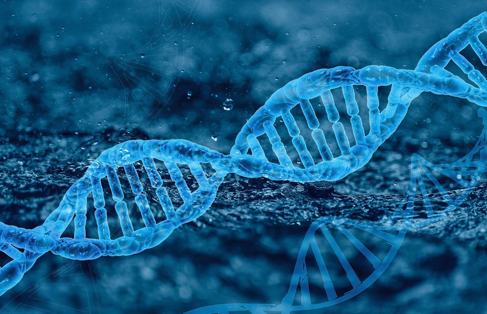 Estabilização dos escores de neuropatia observados após a terapia de edição de genes para doença nervosa rara