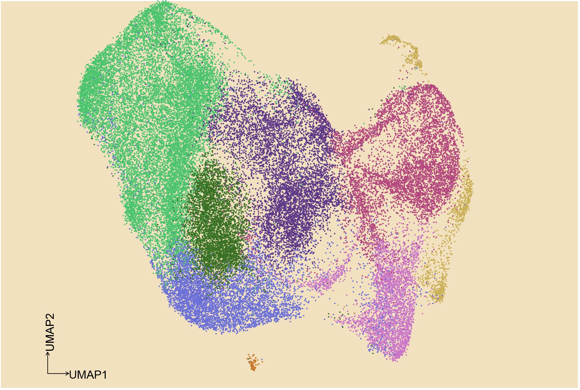 Ferramenta multiômica aprimorada ilumina a progressão do câncer