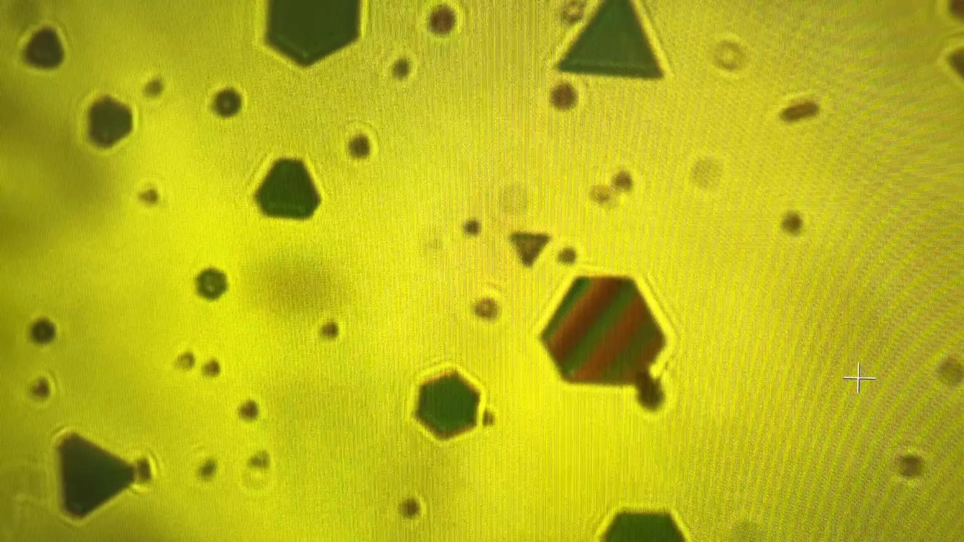 Flocos de ouro expõem as forças secretas que unem o nosso mundo