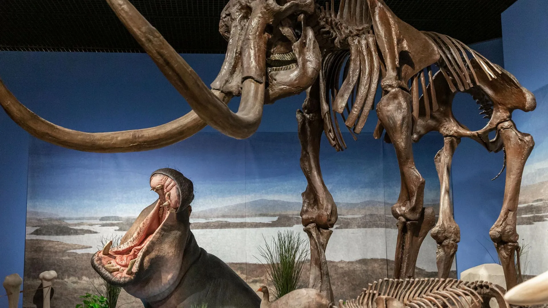 Hipopótamos já vagaram pela Alemanha congelada com mamutes
