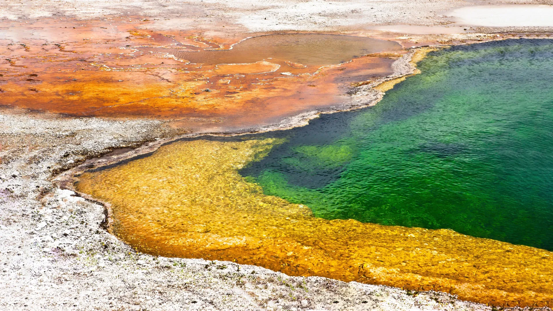 Hot Springs do Japão seguram pistas para as origens da vida na terra