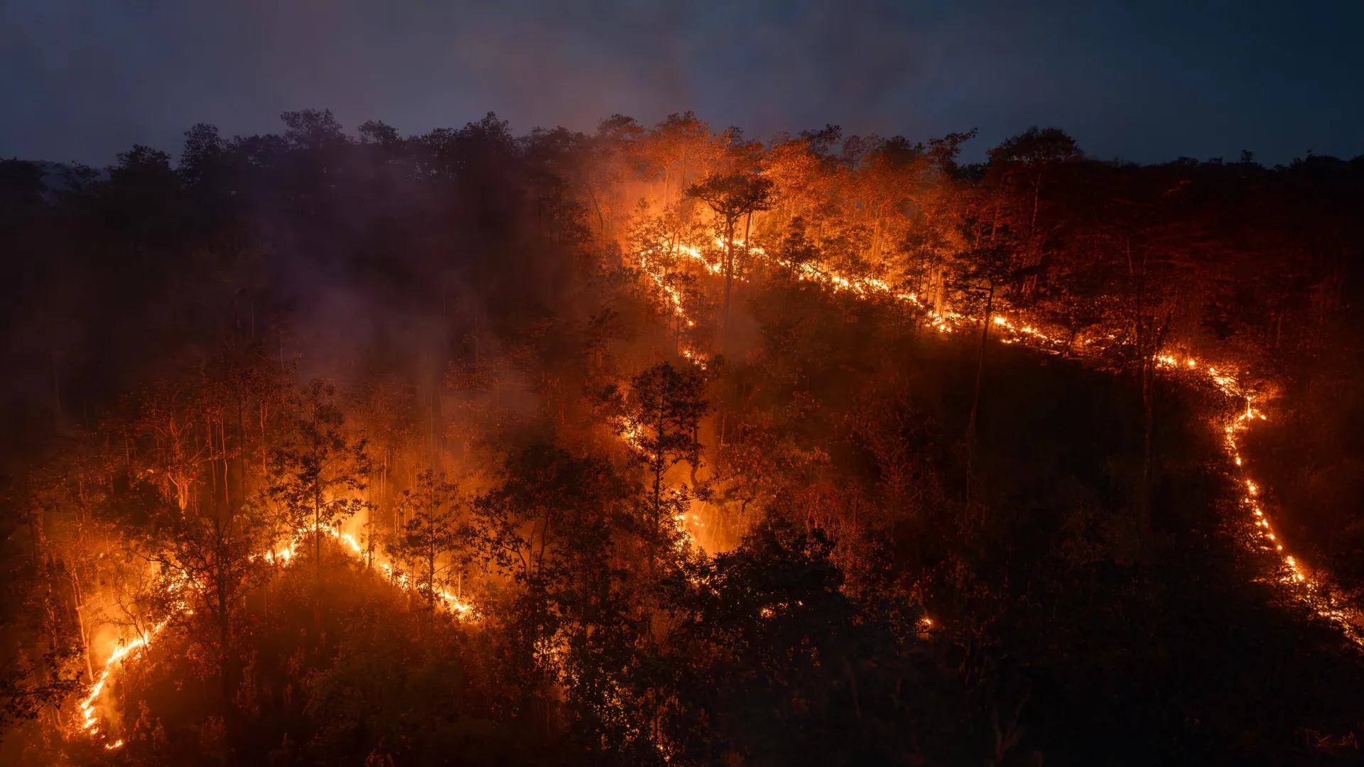 Incêndios recordes na Amazônia liberam mais carbono do que um país inteiro