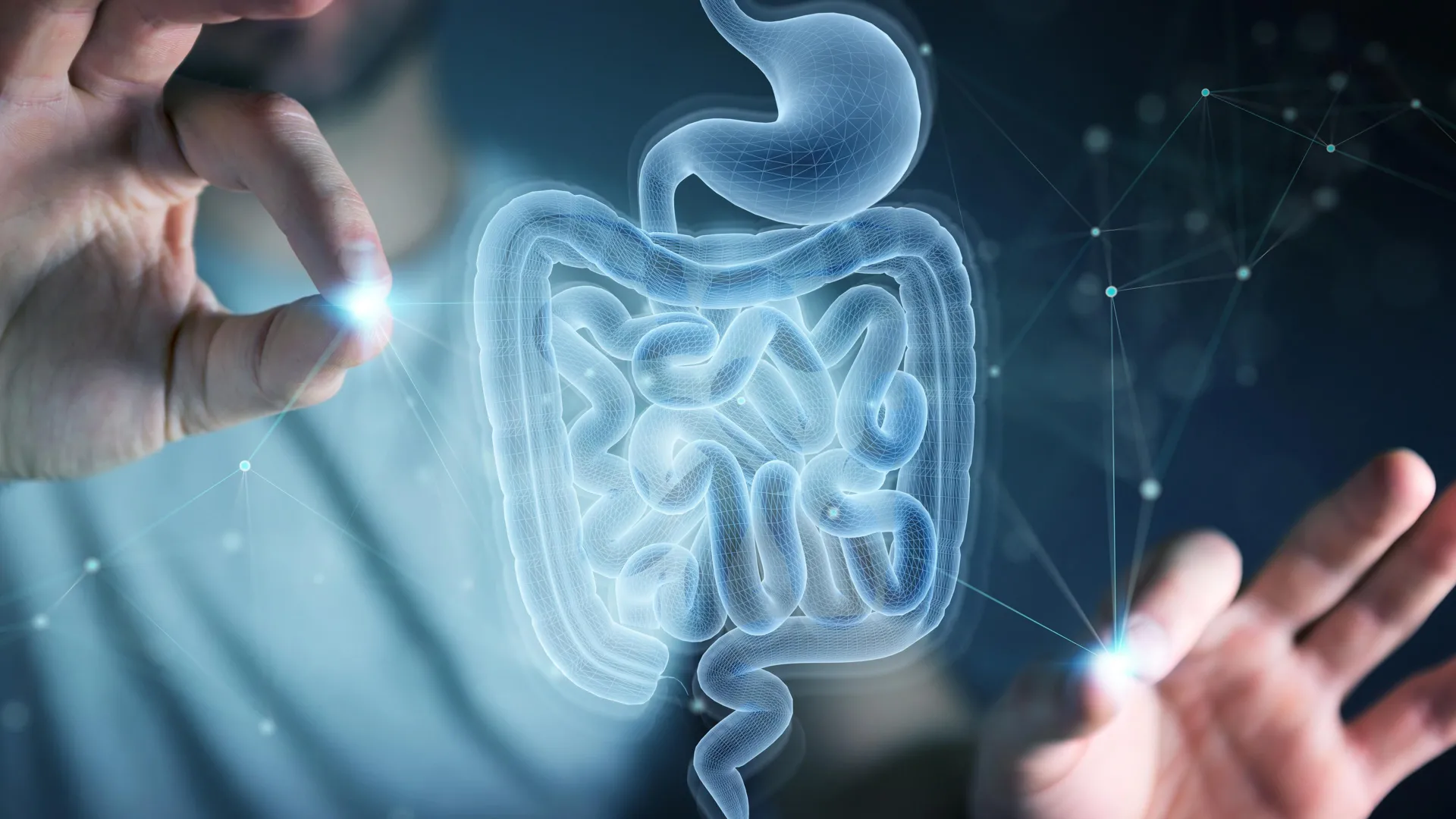 MIT descobre aminoácido que ajuda o intestino a se curar