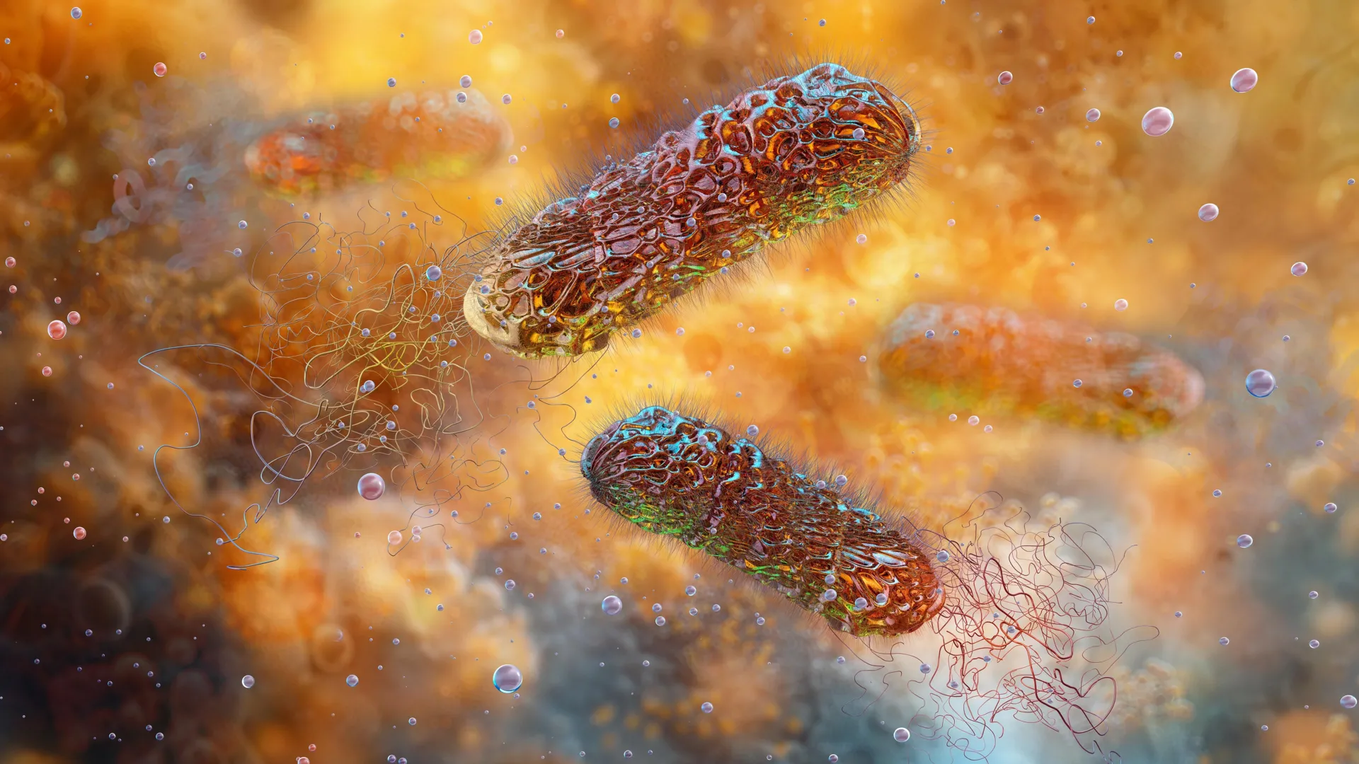 Nanotech transforma o vinagre em um assassino de superbug que salvadores