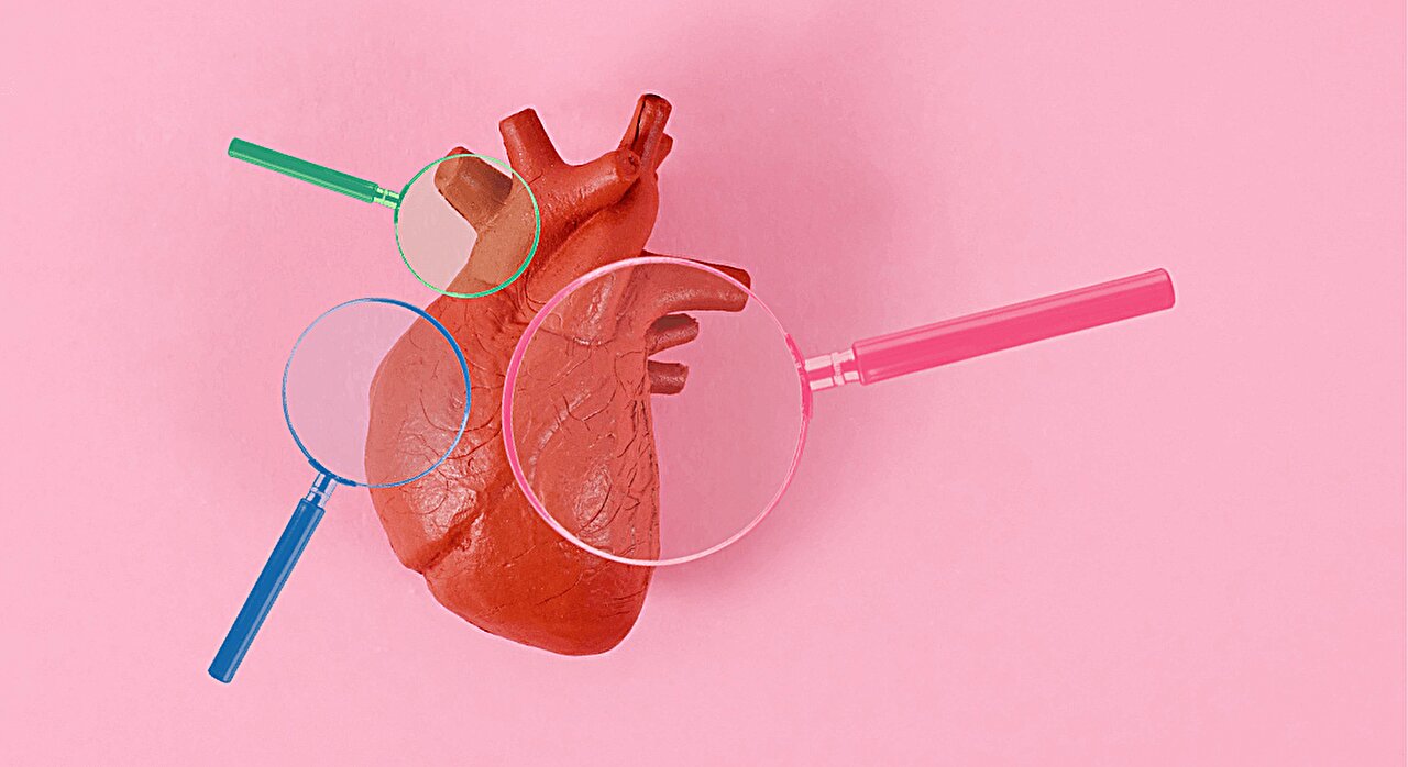 O método de mapeamento molecular permite que os pesquisadores investigem a causa de doenças cardíacas