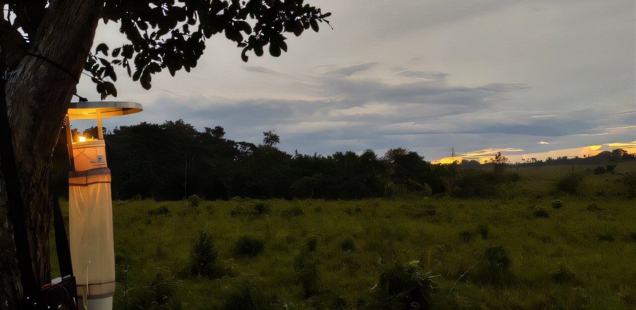 O risco de malária na Amazônia é maior em regiões com degradação florestal intermediária
