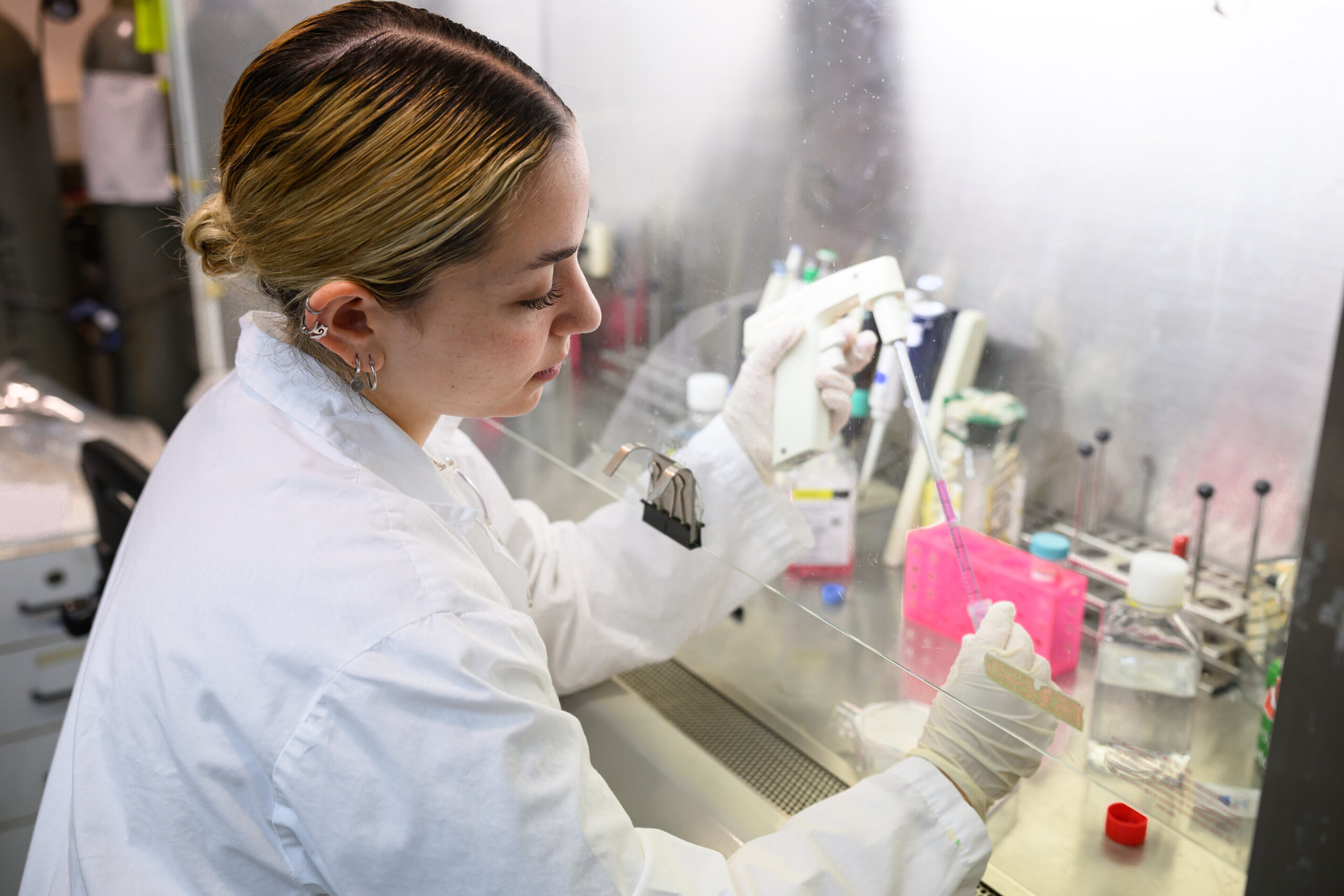 O subconjunto de células imunológicas revela a idade biológica além dos anos cronológicos