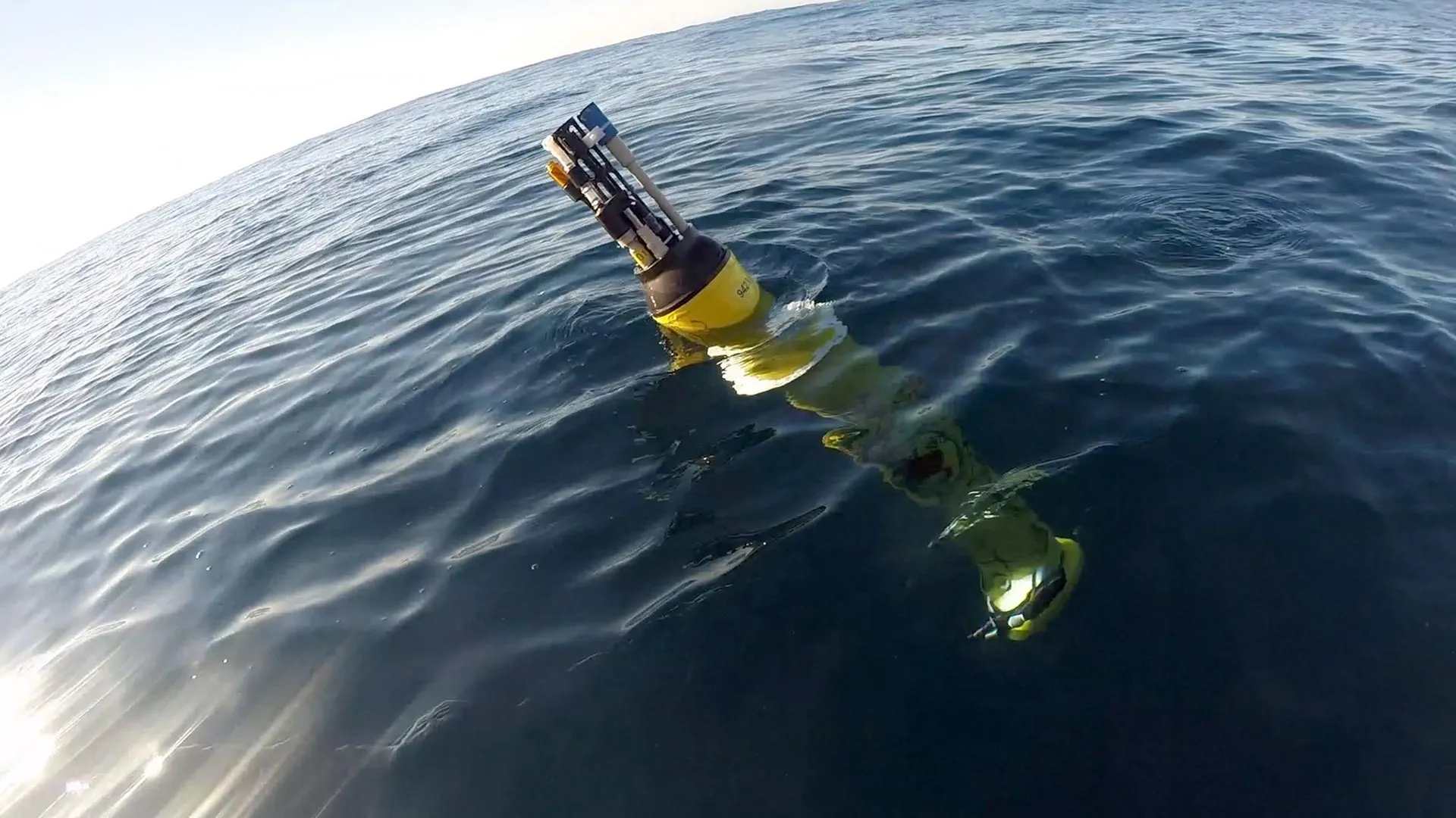 Ondas de calor oceânicas estão quebrando o motor climático oculto da Terra