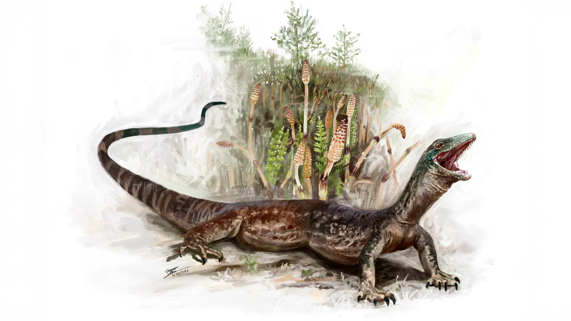 Os cientistas descobrem um misterioso lagarto jurássico com mandíbulas semelhantes a cobras