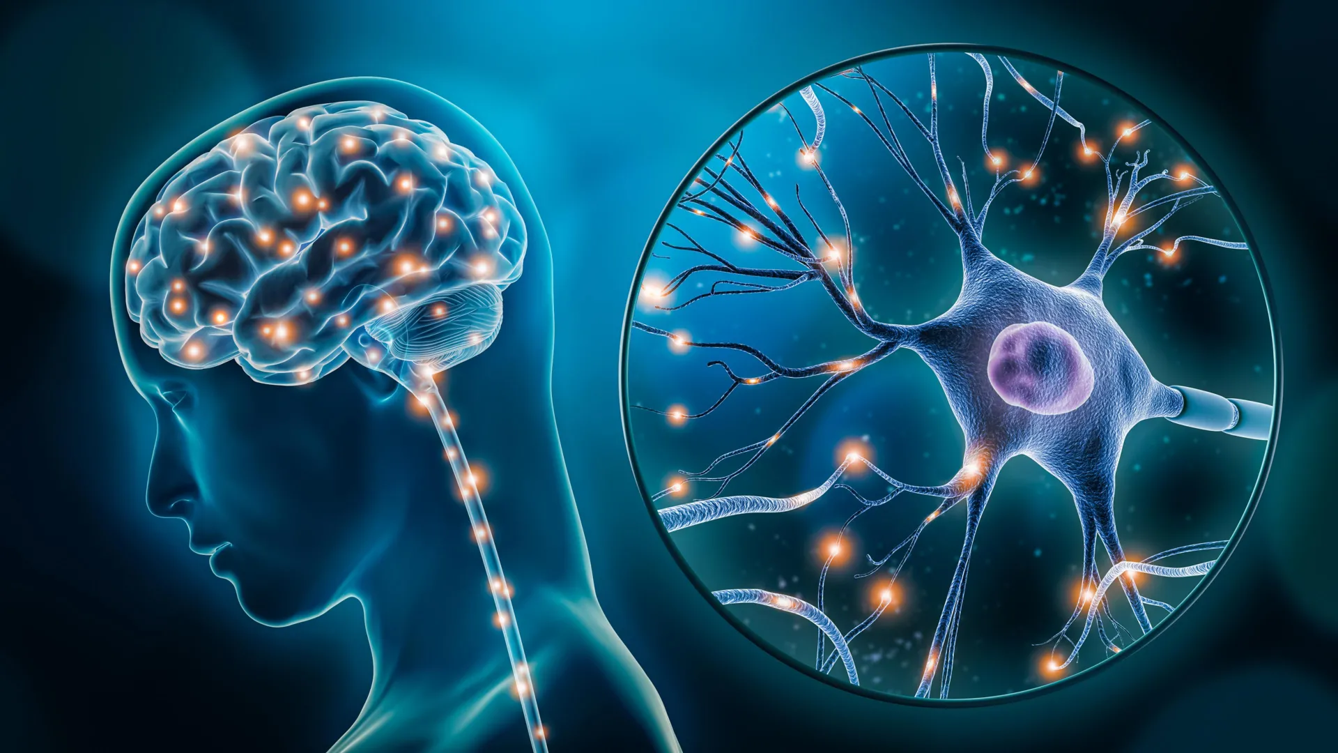 Pela primeira vez, cientistas identificam células cerebrais ligadas à depressão