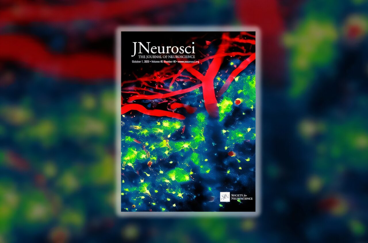 Pesquisadores descobrem quebra-chave na comunicação das células cerebrais na doença de Alzheimer