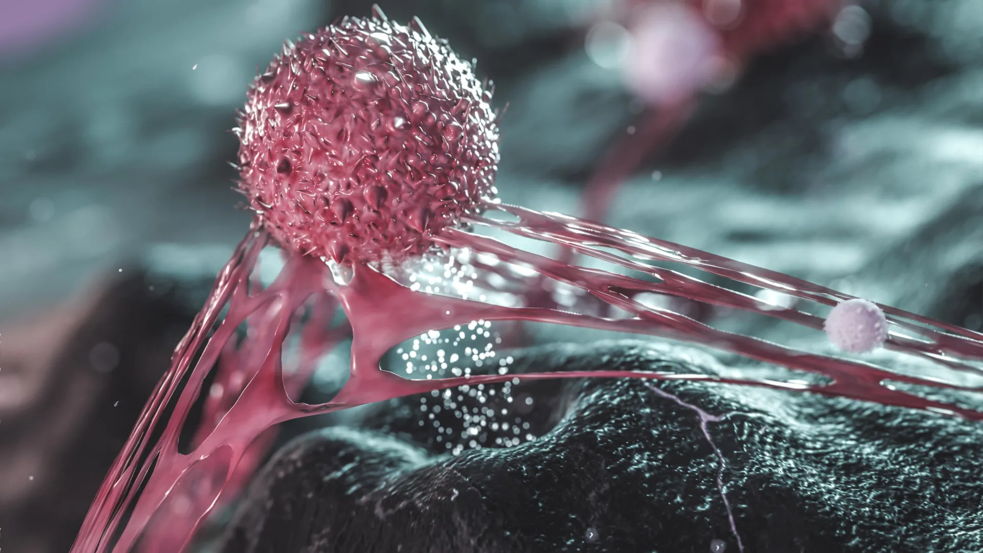 Quando as células cancerígenas se sentem espremidas, elas se tornam mais perigosas