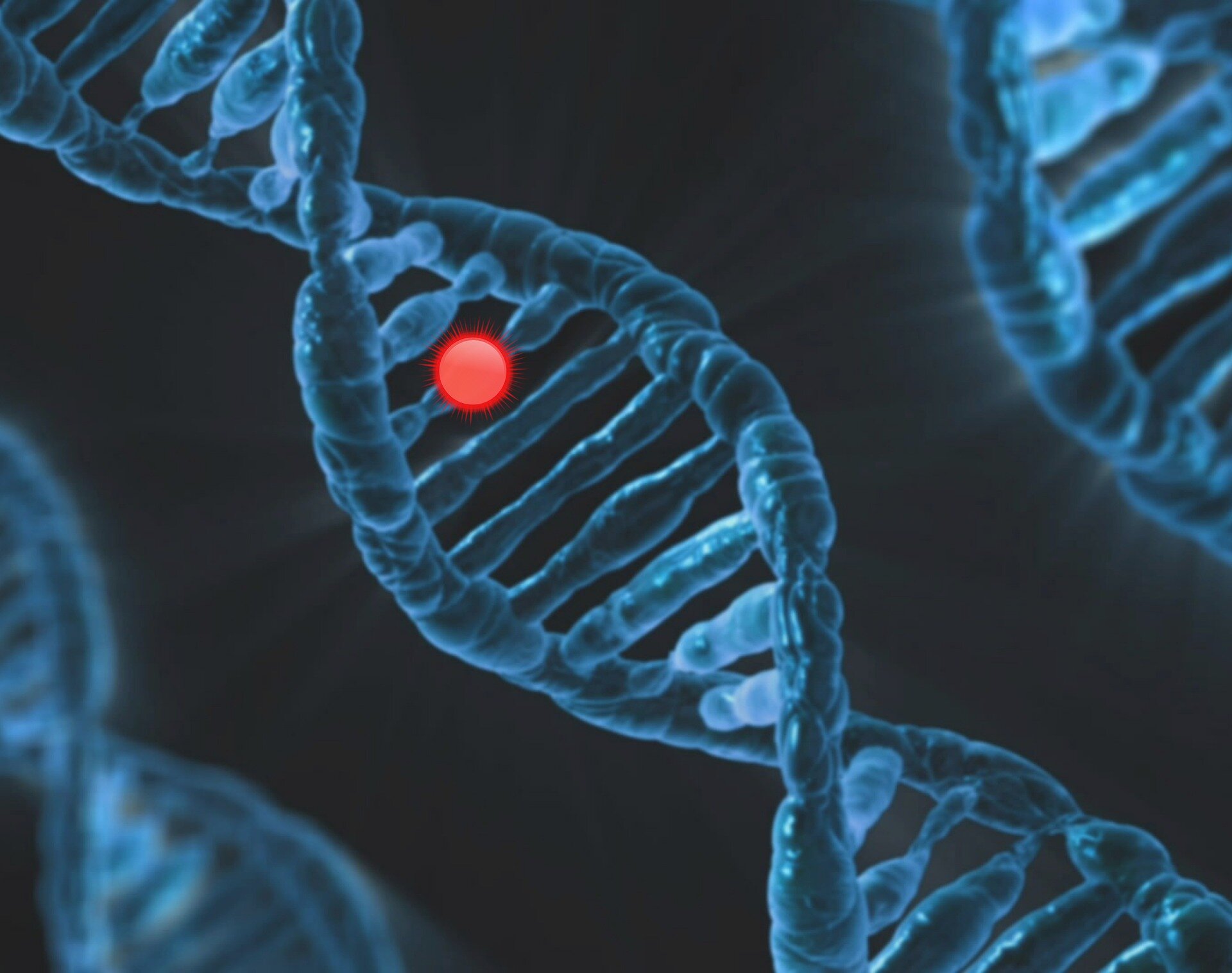 Reconhecer toda a complexidade da genética poderia melhorar e personalizar a medicina