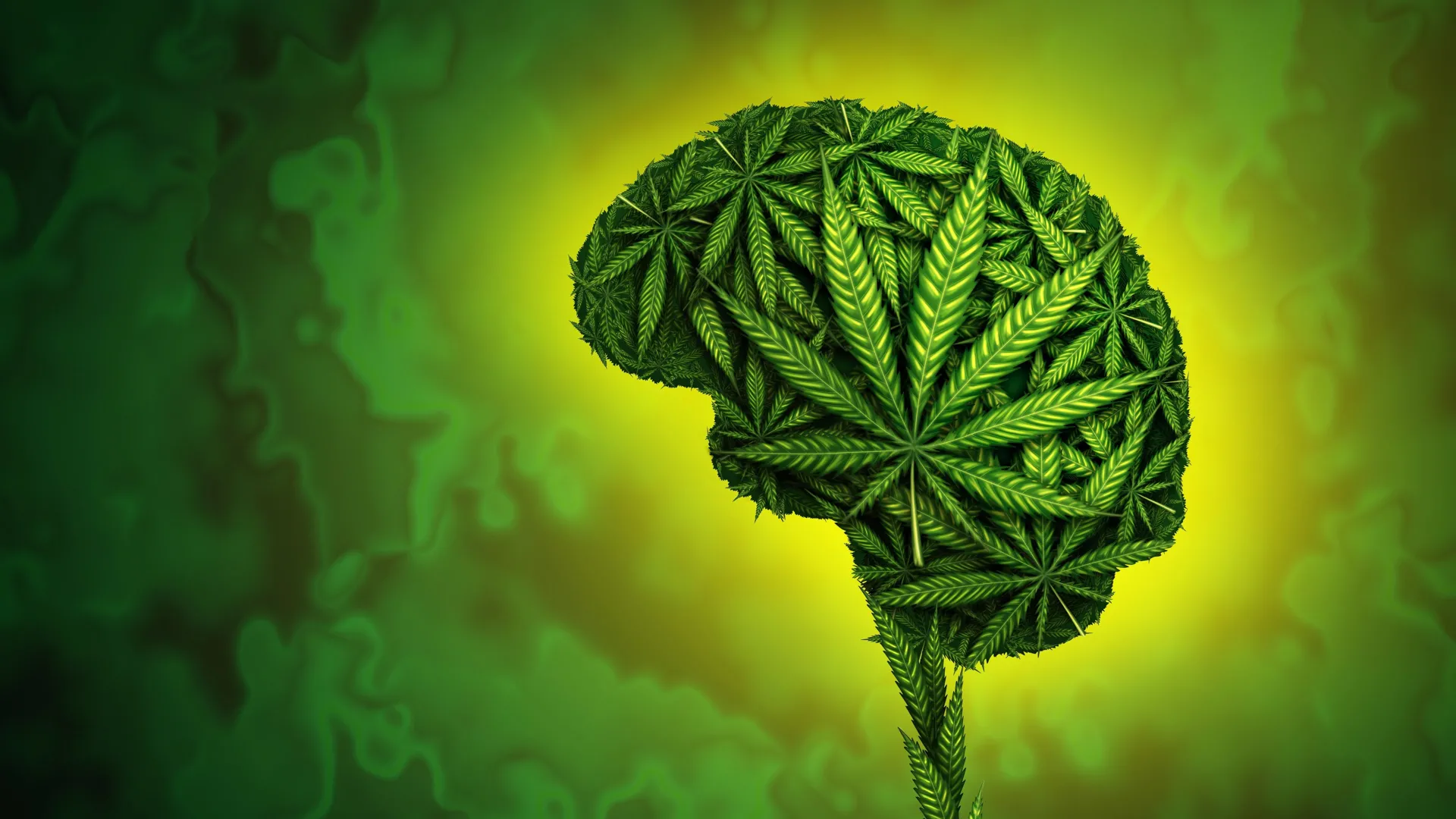 Seu DNA pode moldar a forma como você usa cannabis
