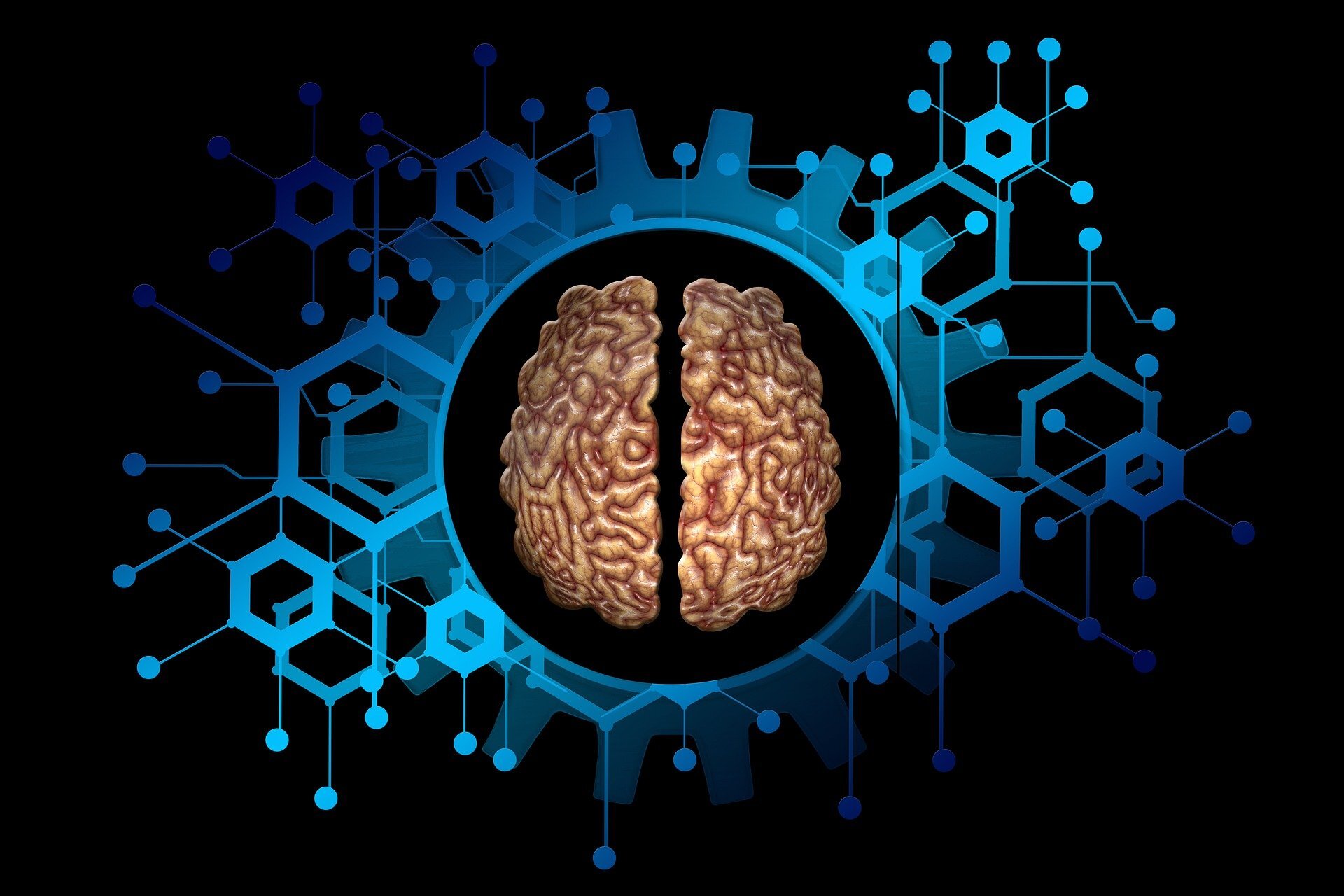 Um ‘gêmeo digital’ do seu cérebro pode prever problemas de saúde mental e retardar o declínio cognitivo