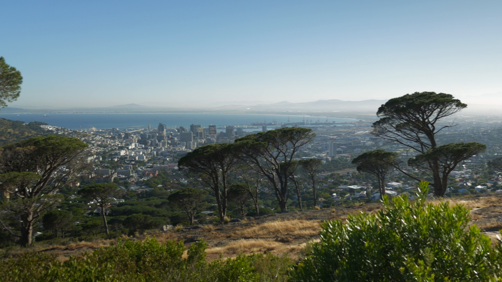 A África do Sul está a fazer história com a sua primeira cimeira do G20, mas a exclusão contínua das suas comunidades mais antigas é uma ameaça simbólica | Notícias do mundo