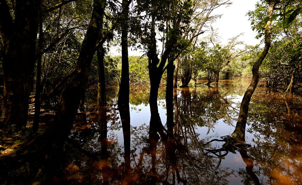 A Constituição do Equador protege a natureza. Agora isso está em risco