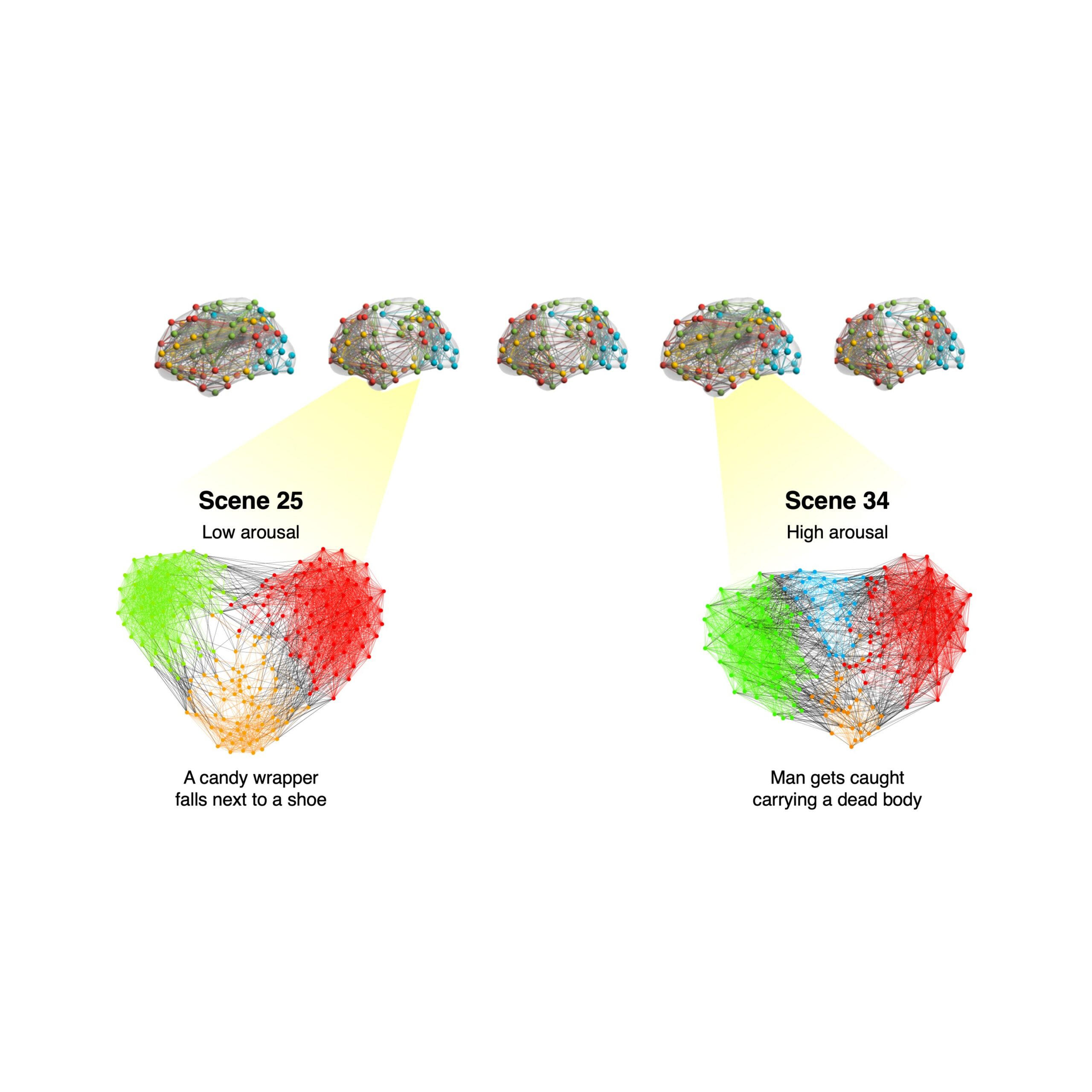 A atividade coordenada da rede cerebral durante a excitação emocional pode explicar memórias vívidas e duradouras