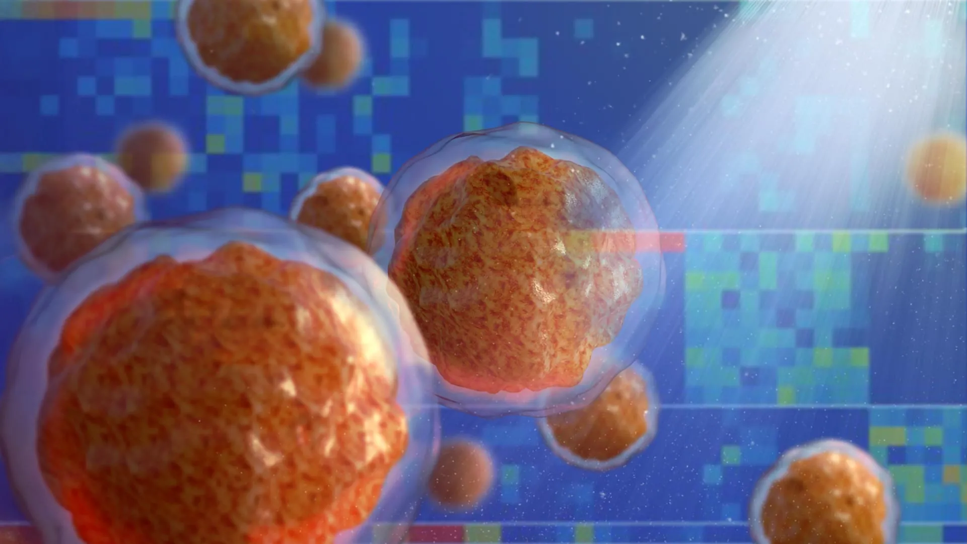 A inflamação transforma a medula óssea em um terreno fértil para doenças