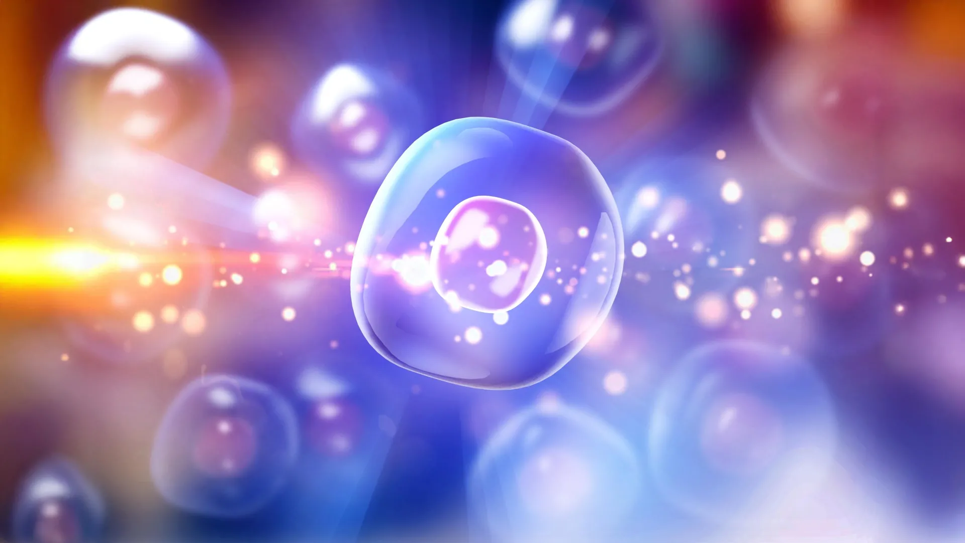 A nova terapia celular de Stanford cura diabetes tipo 1 em ratos