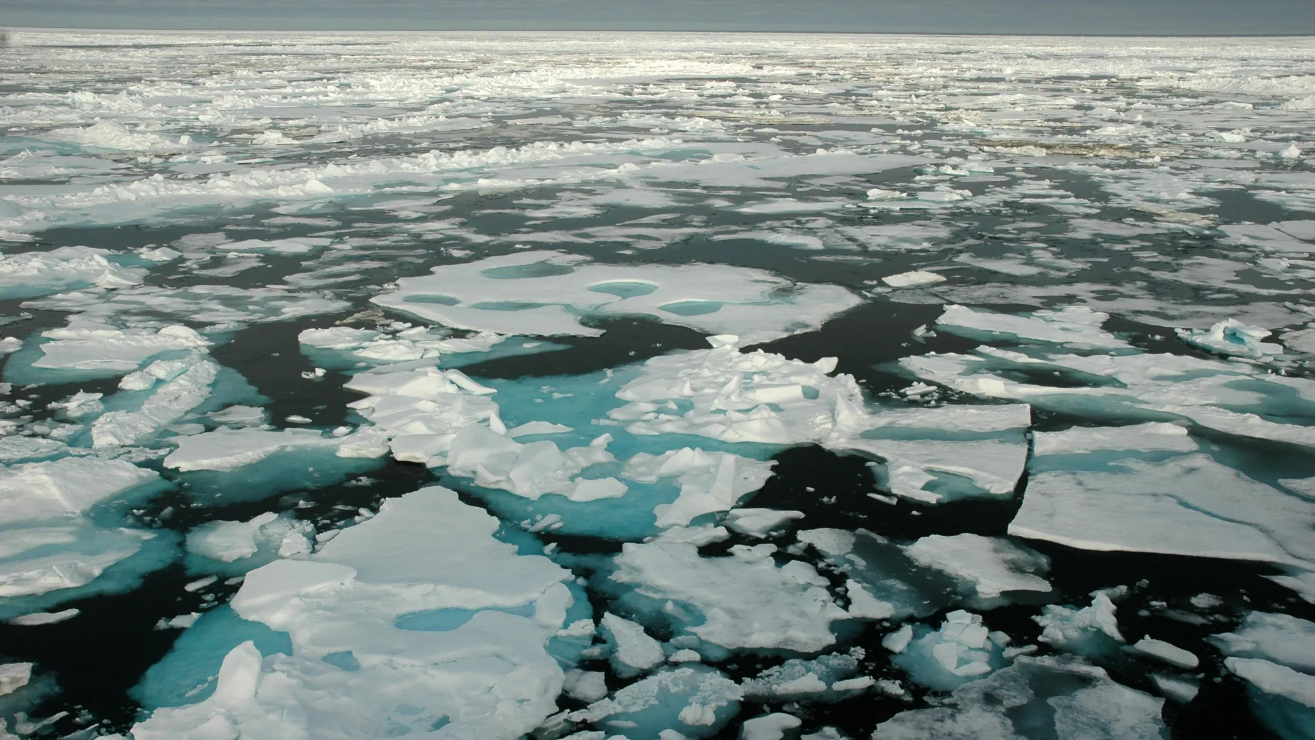 A poeira espacial revela a rapidez com que o Ártico está a mudar