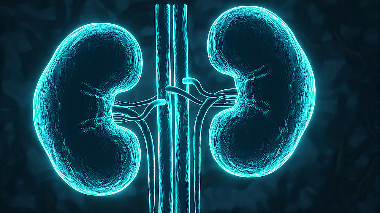 A relação albumina-creatinina urinária mede melhor o risco de insuficiência renal