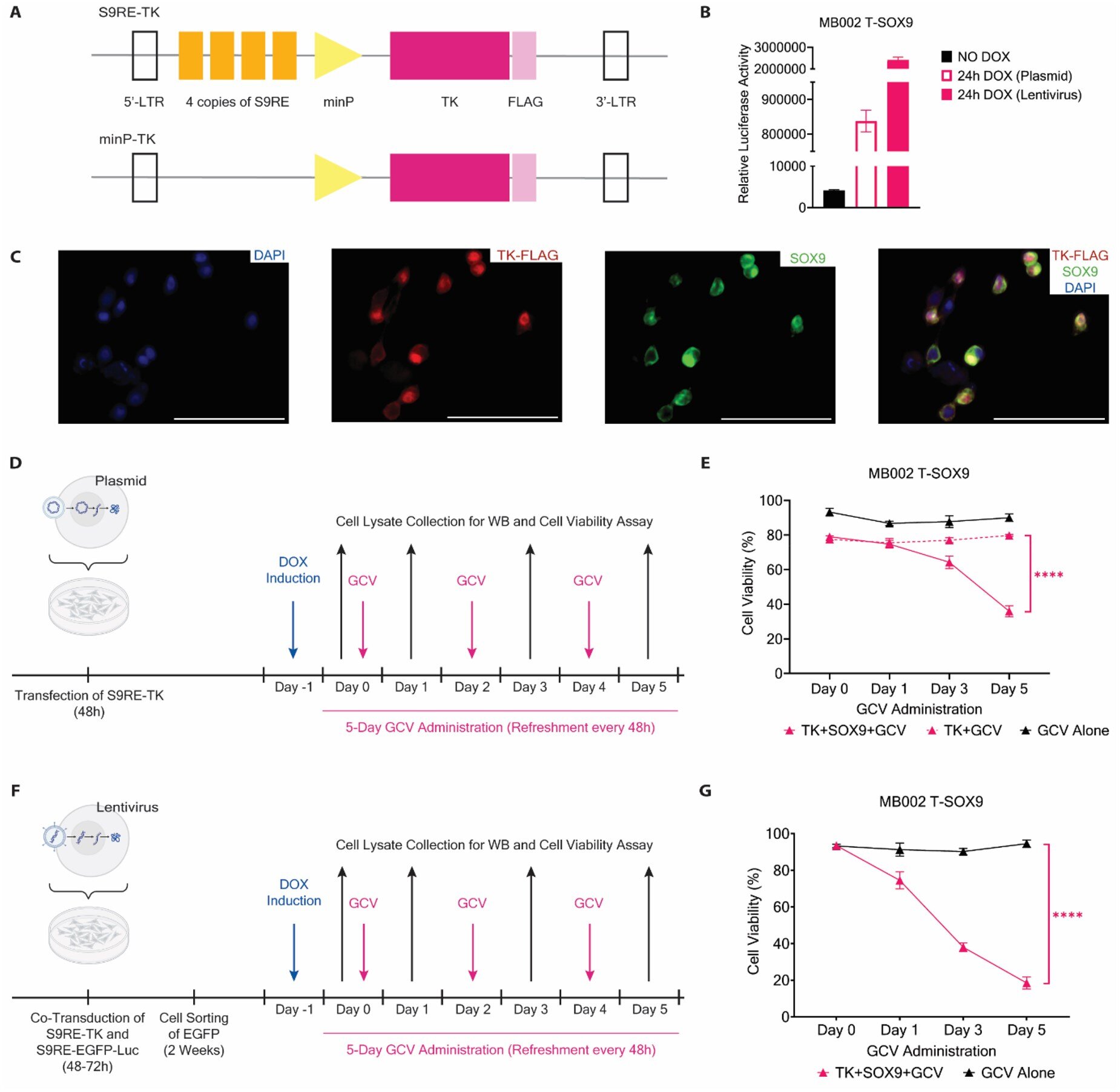 A técnica genética pode permitir o tratamento preciso de tumores cerebrais pediátricos