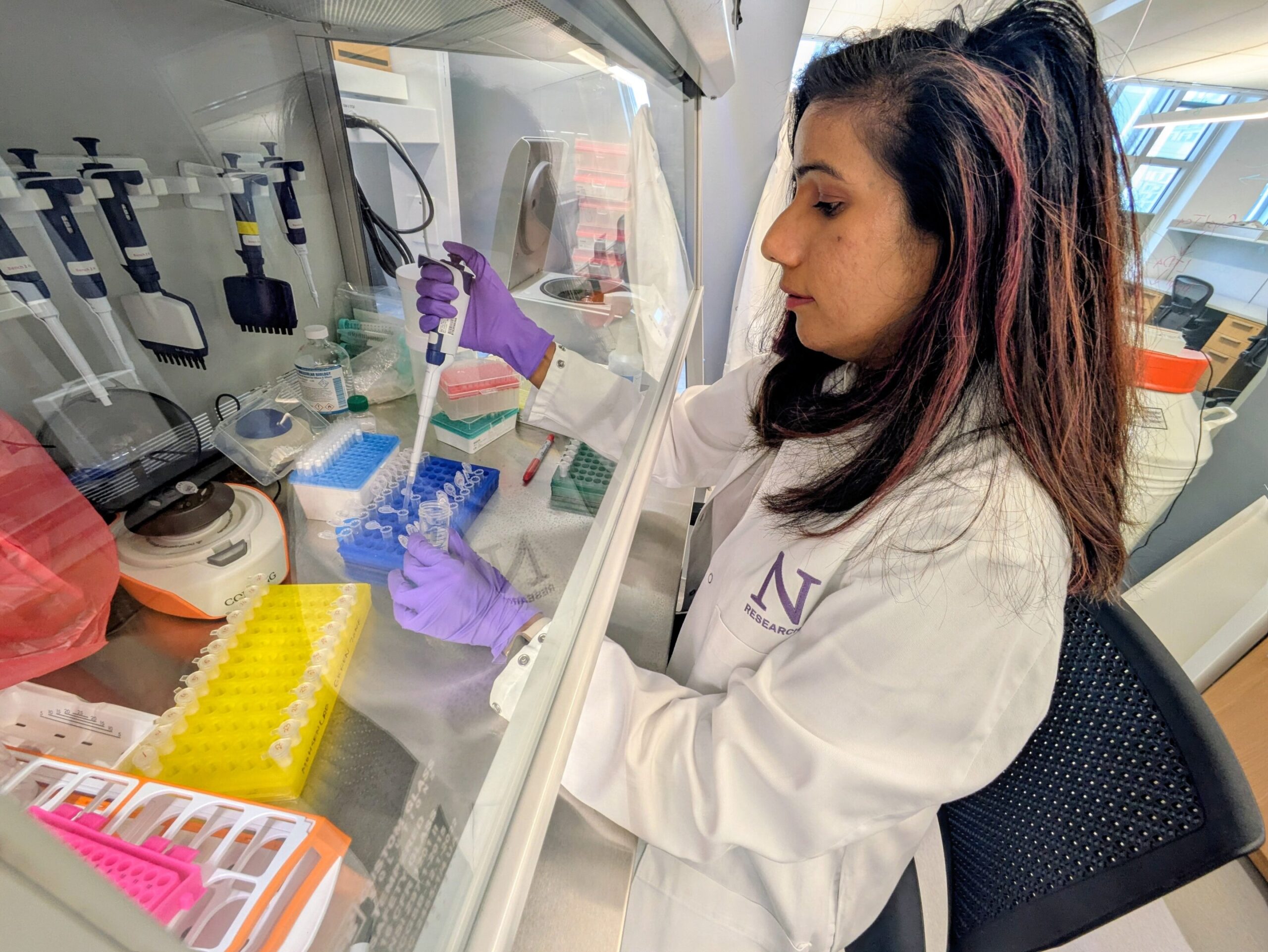 A terapia com anticorpos frustra o disfarce à base de açúcar do câncer de pâncreas para despertar o sistema imunológico