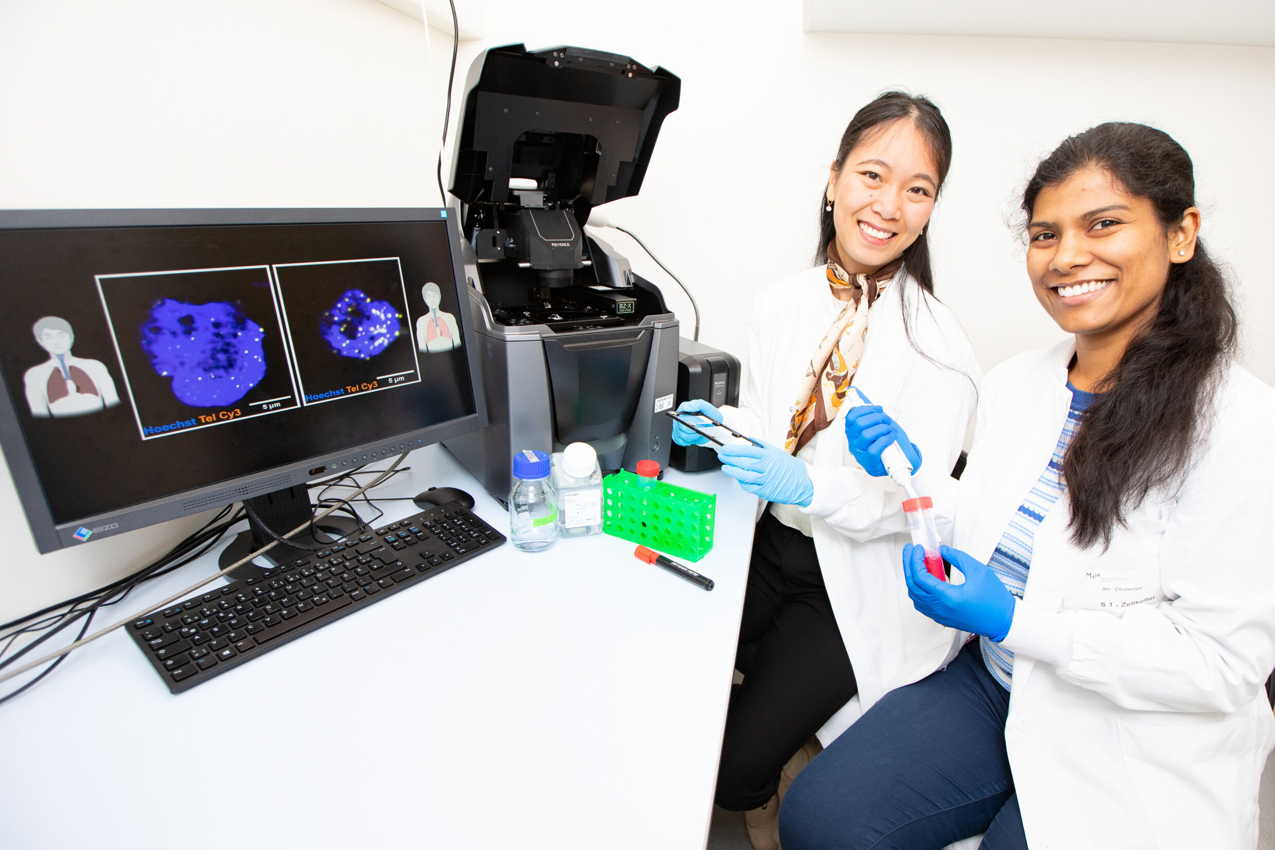 Aumentar a atividade da telomerase retarda o envelhecimento das células pulmonares em estudo de fibrose pulmonar