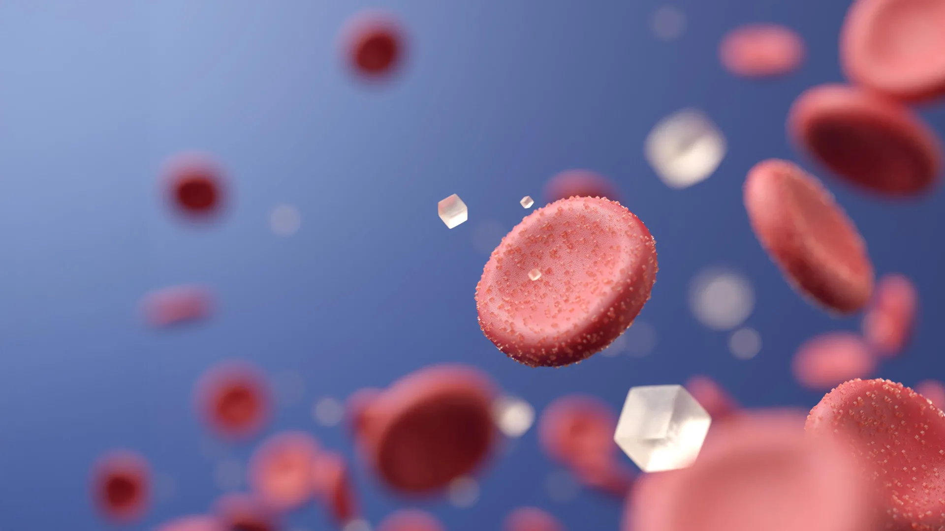 Baga rara do deserto pode transformar o tratamento do diabetes