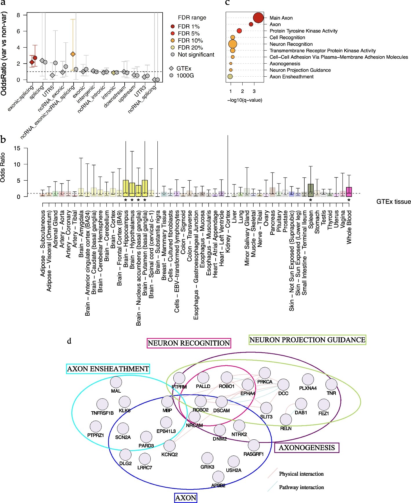Camada negligenciada de DNA pode explicar risco e gravidade da doença